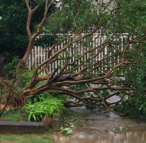 台風