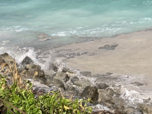 IMG_1766