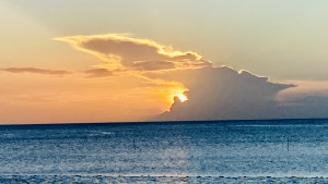 IMG_5464
