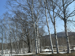 IMG_9957
